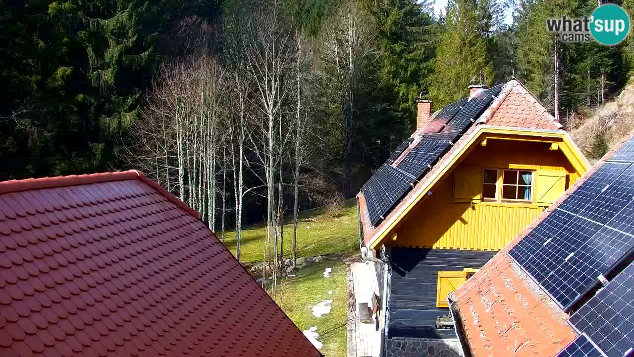 Webcam Lukanja – Pohorje houses a Water village