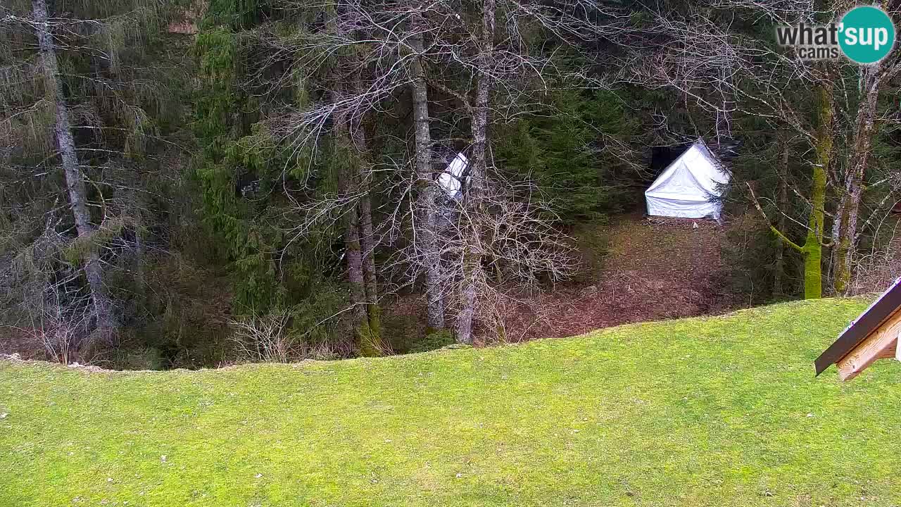 Spletna kamera Lukanja – Water Village | Pohorje Houses