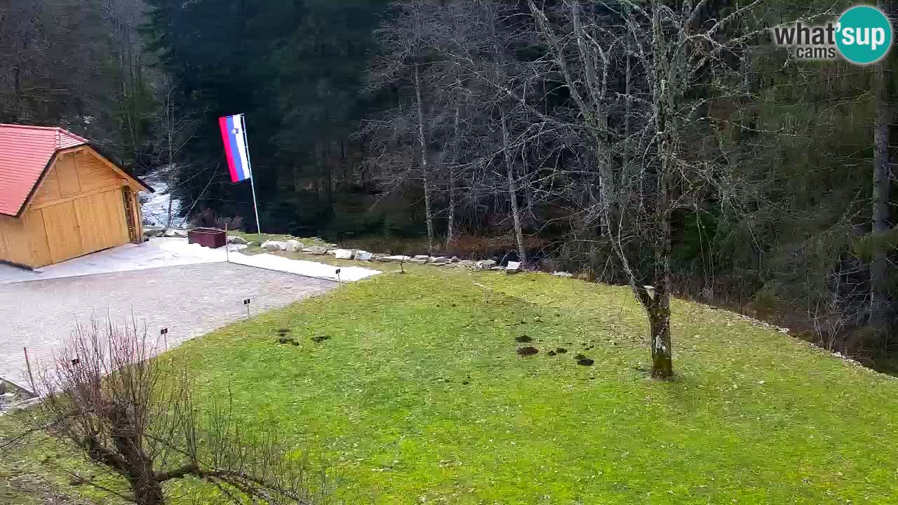 Webcam Lukanja – Water Village | Pohorje Houses