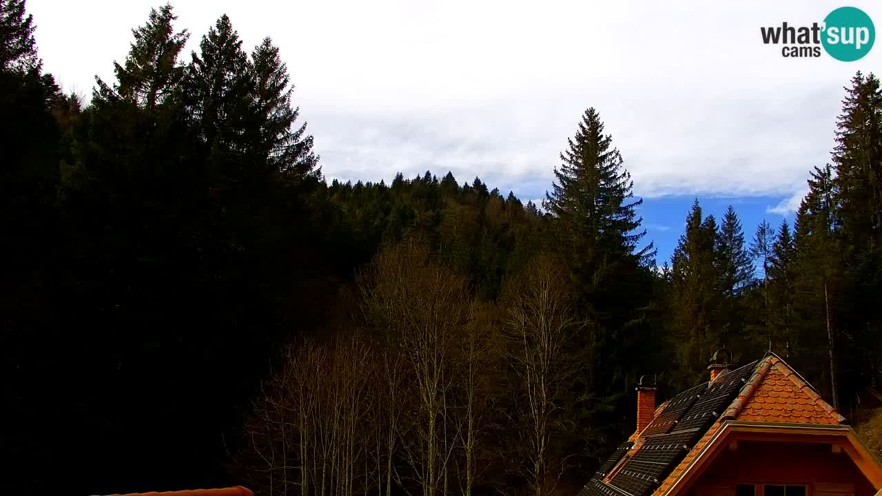 Webcam Lukanja – Water Village | Pohorje Houses