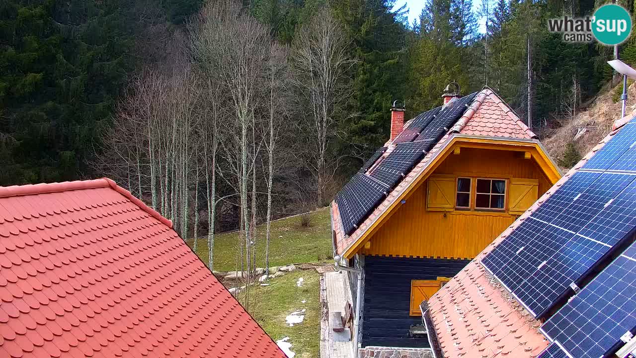 Webcam Lukanja – Water Village | Pohorje Houses