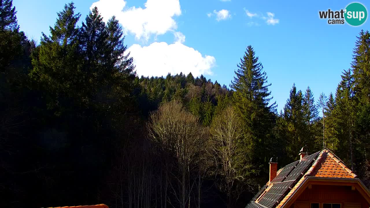 Webcam Lukanja – Water Village | Pohorje Houses