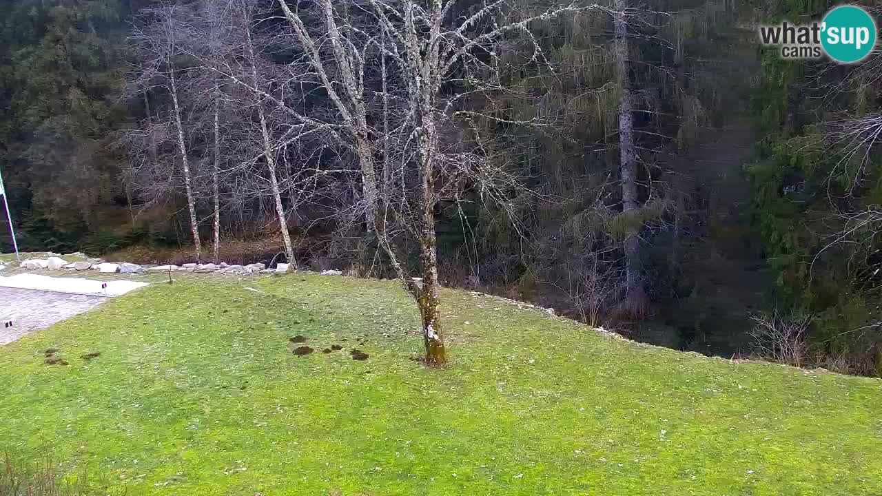 Webcam Lukanja – Water Village | Pohorje Houses