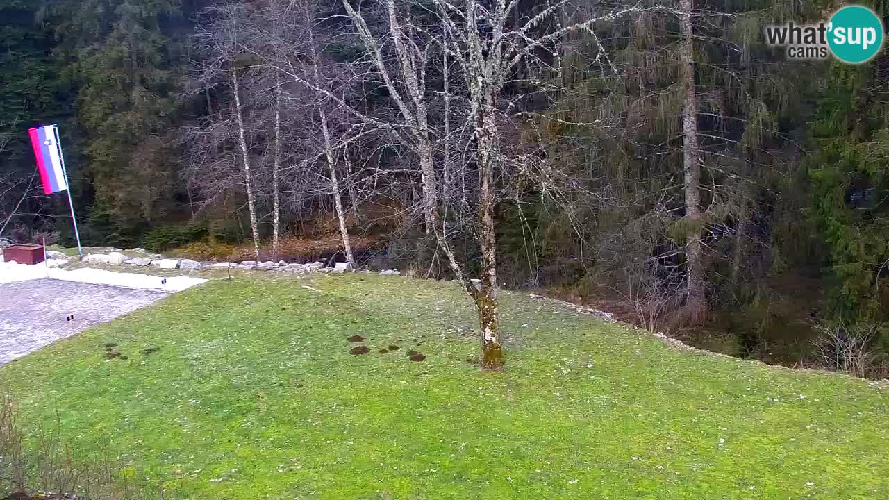 Webcam Lukanja – Water Village | Pohorje Houses