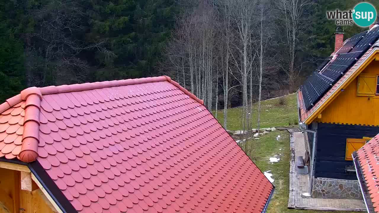 Webcam Lukanja – Water Village | Pohorje Houses