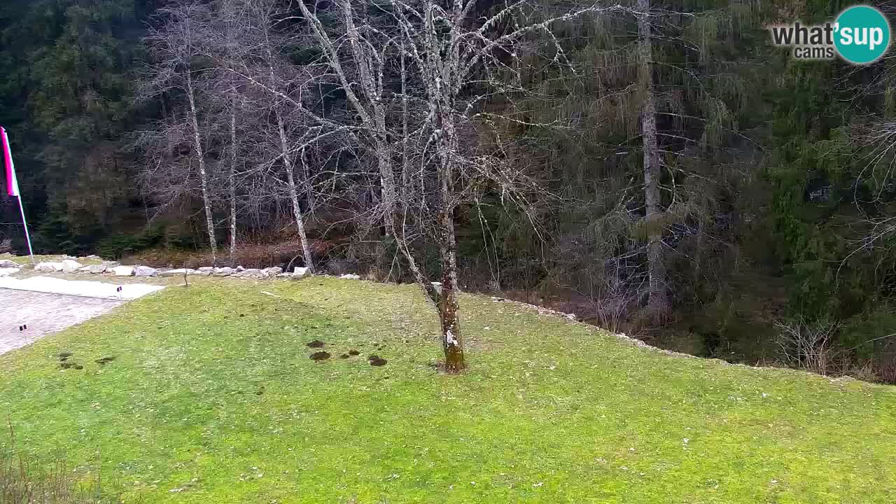 Webcam Lukanja – Water Village | Pohorje Houses