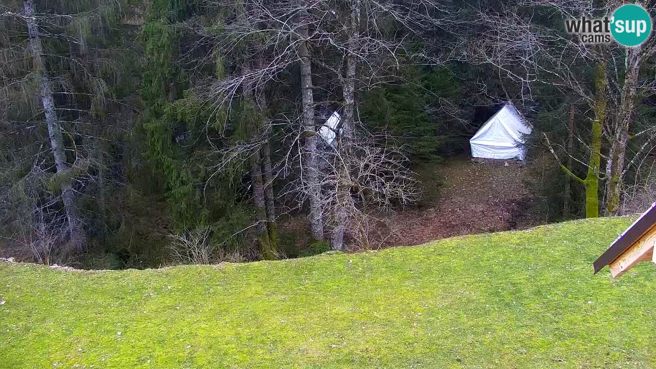Web kamera Lukanja – Water Village | Pohorje Houses