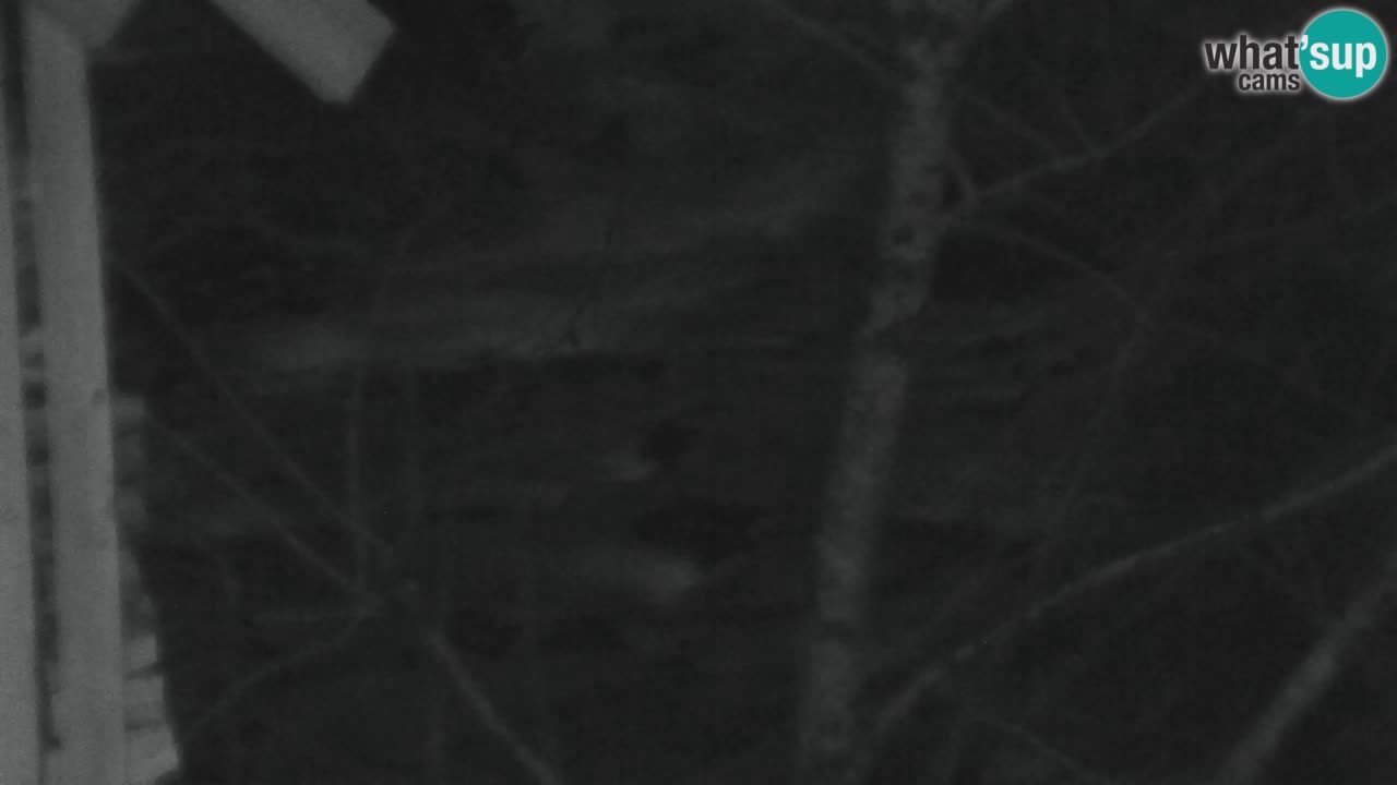 Webcam Lukanja – Water Village | Pohorje Houses