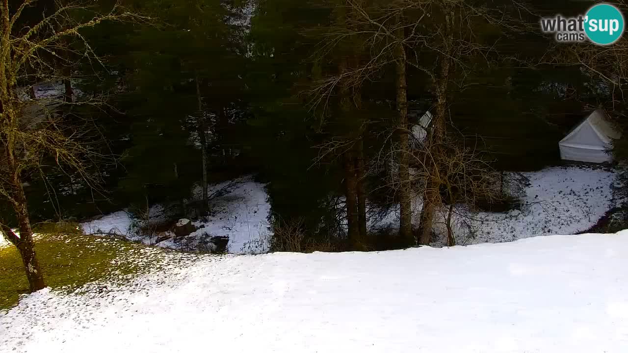 Webcam Lukanja – Water Village | Pohorje Houses