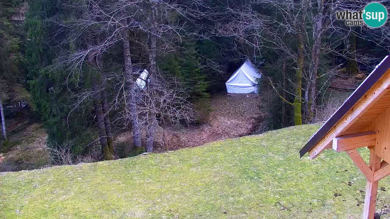 Spletna kamera Lukanja – Water Village | Pohorje Houses