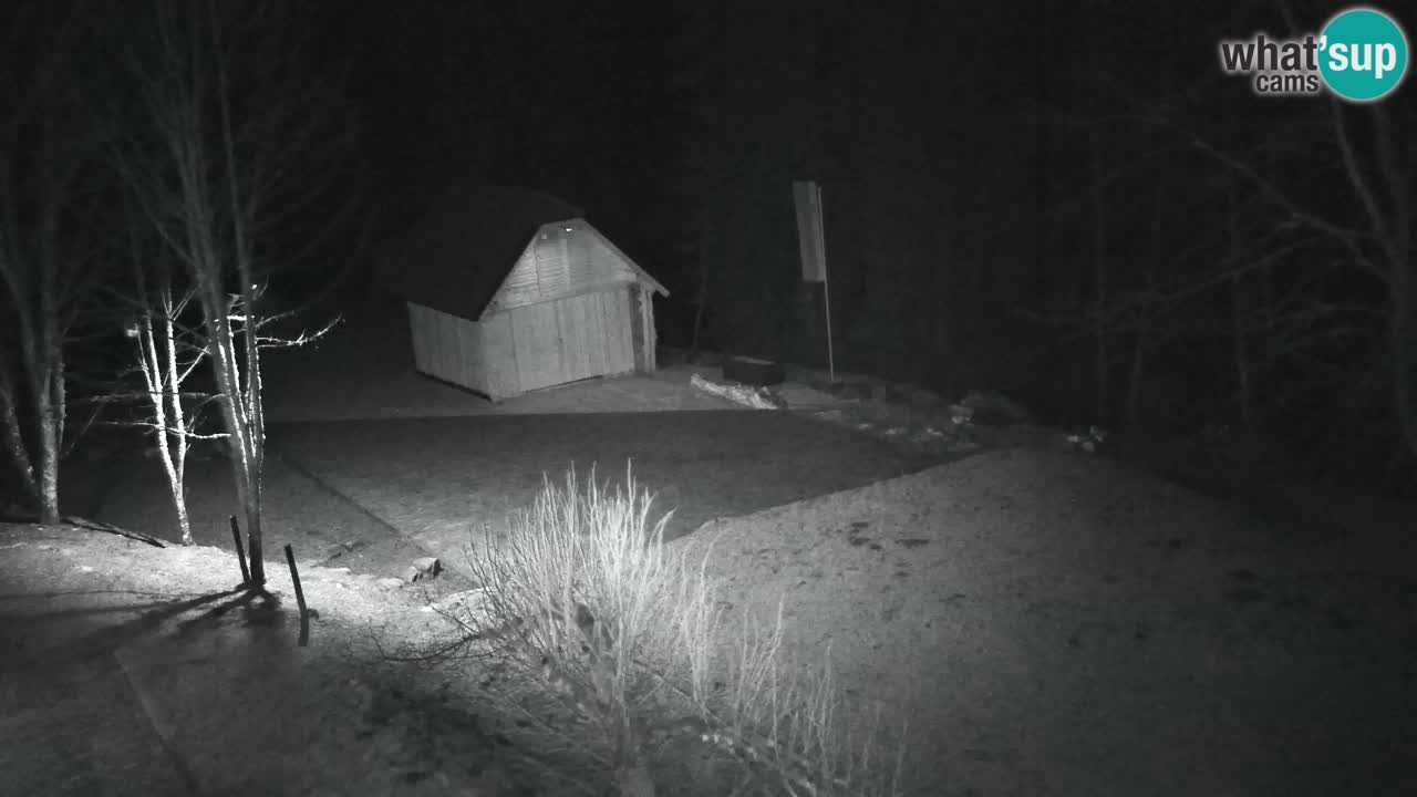 Webcam Lukanja – Water Village | Pohorje Houses