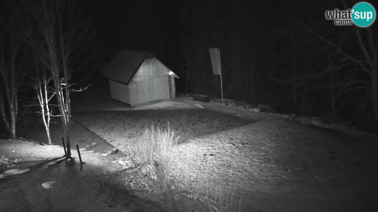 Spletna kamera Lukanja – Water Village | Pohorje Houses