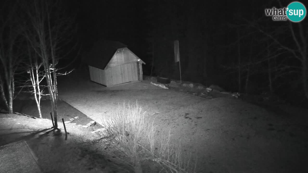 Webcam Lukanja – Water Village | Pohorje Houses