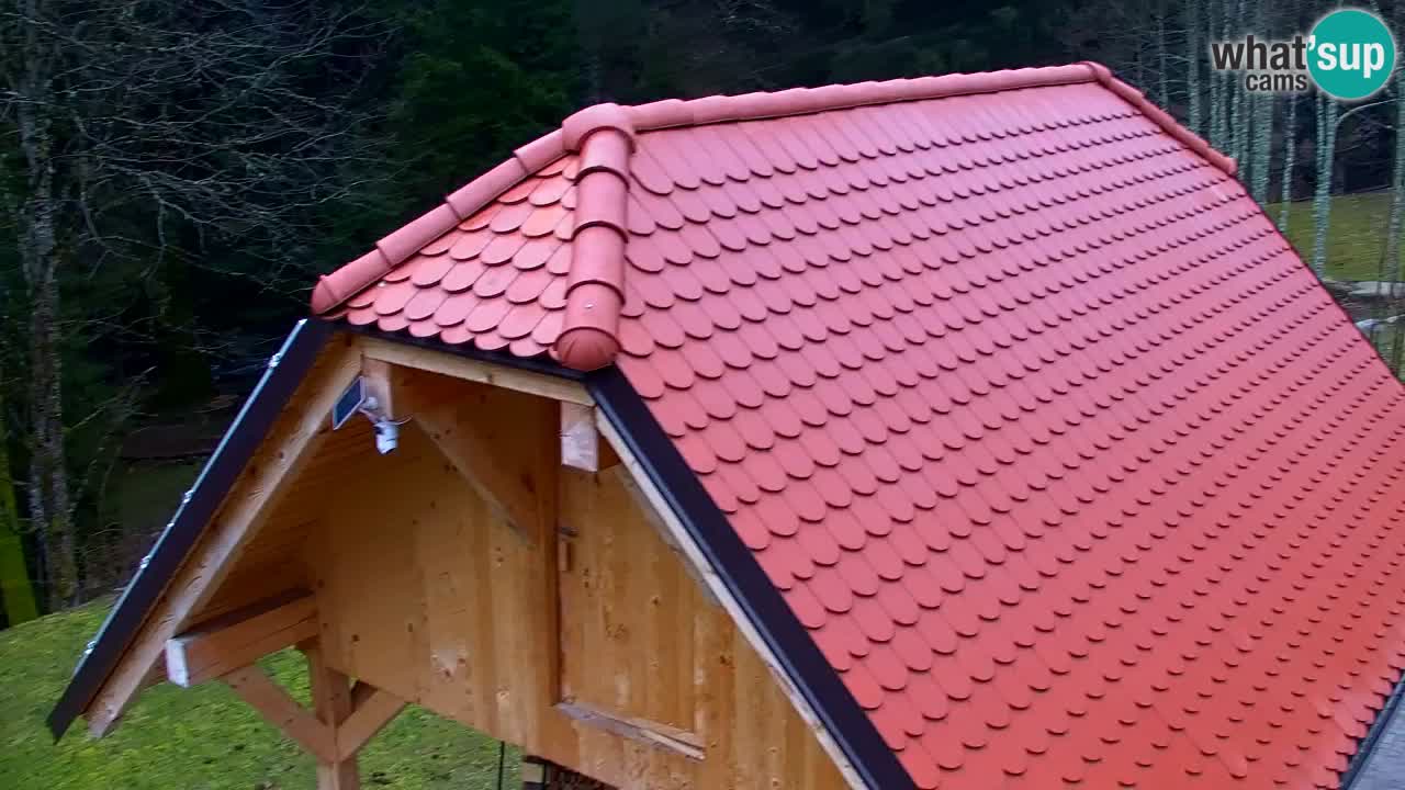 Webcam Lukanja – Water Village | Pohorje Houses