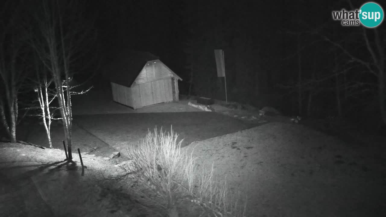 Webcam Lukanja – Pohorje houses a Water village