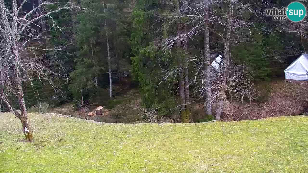 Webcam Lukanja – Water Village | Pohorje Houses