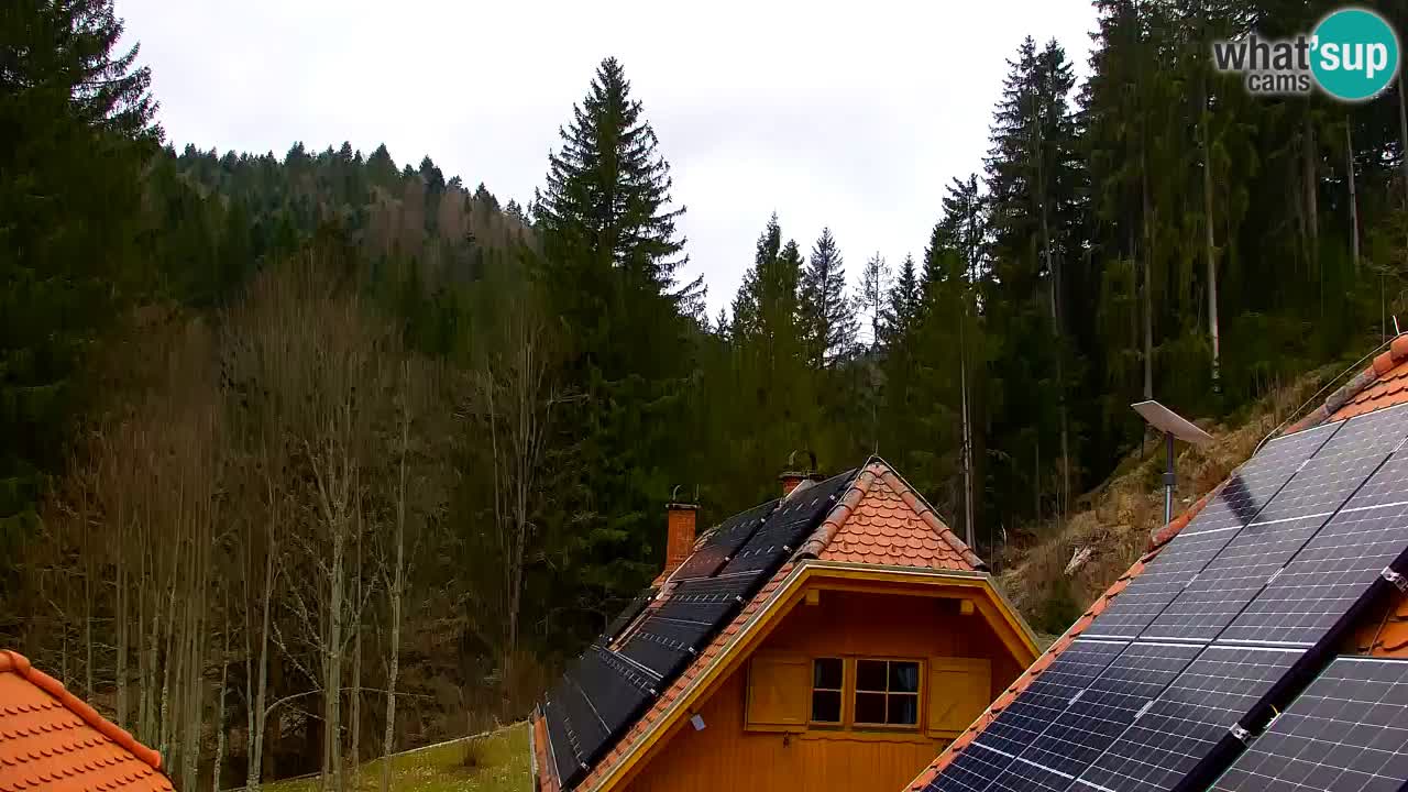 Webcam Lukanja – Water Village | Pohorje Houses