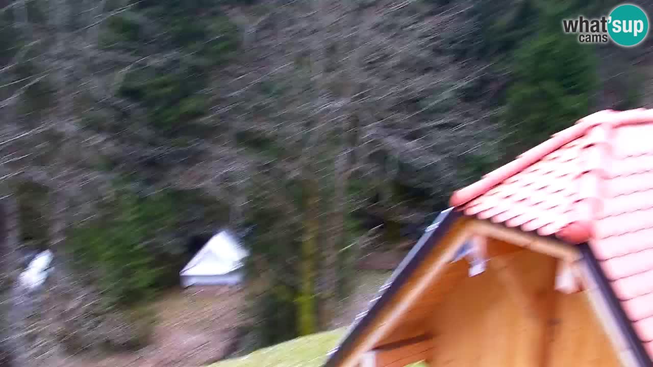 Webcam Lukanja – Pohorje houses a Water village