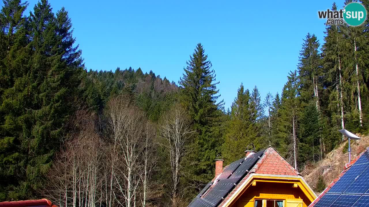 Webcam Lukanja – Pohorje houses a Water village