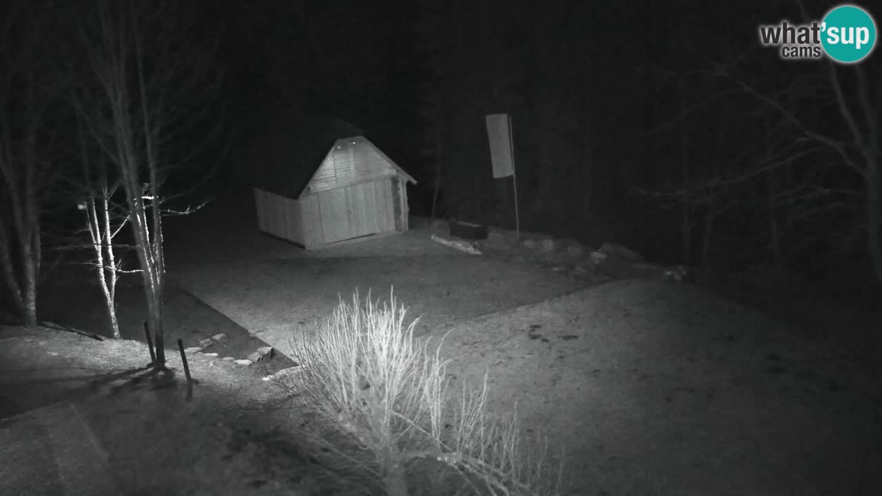 Webcam Lukanja – Water Village | Pohorje Houses