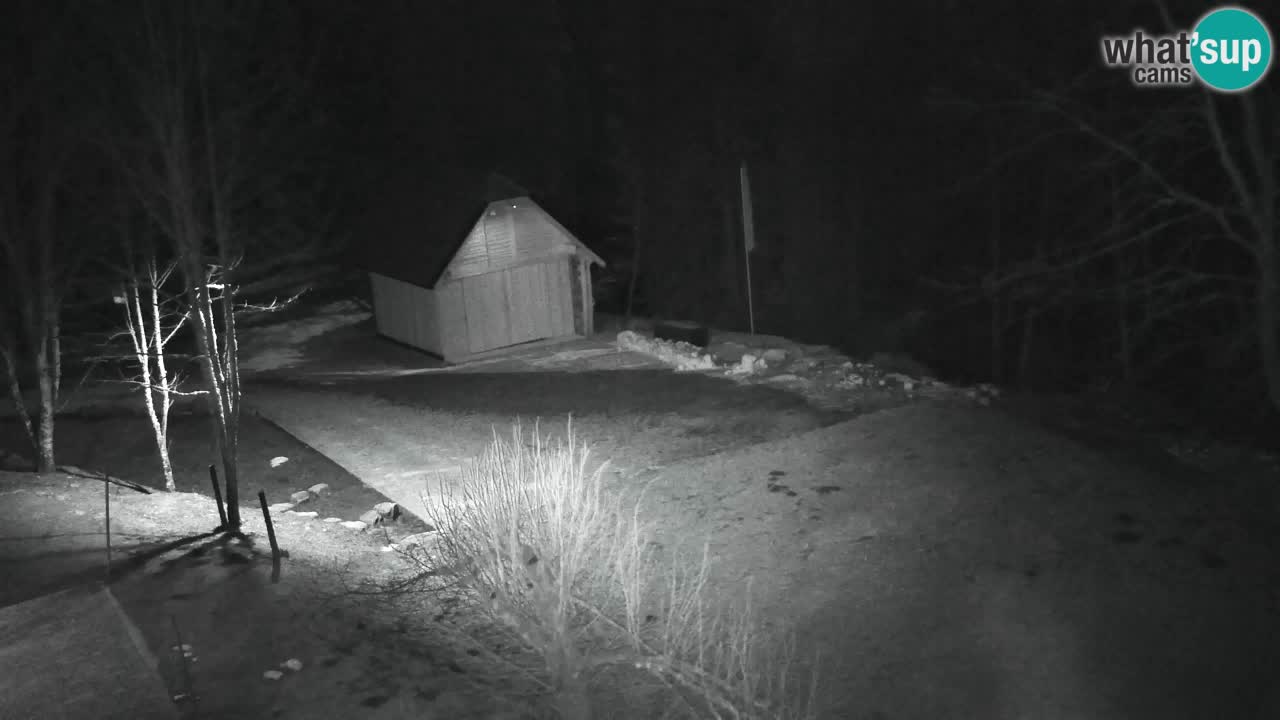 Web kamera Lukanja – Water Village | Pohorje Houses