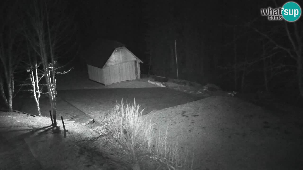 Webcam Lukanja – Water Village | Pohorje Houses