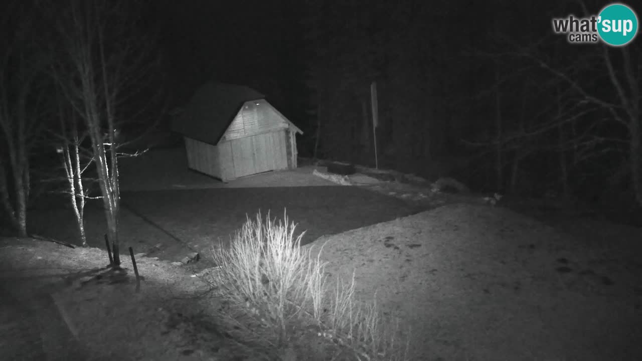 Webcam Lukanja – Water Village | Pohorje Houses