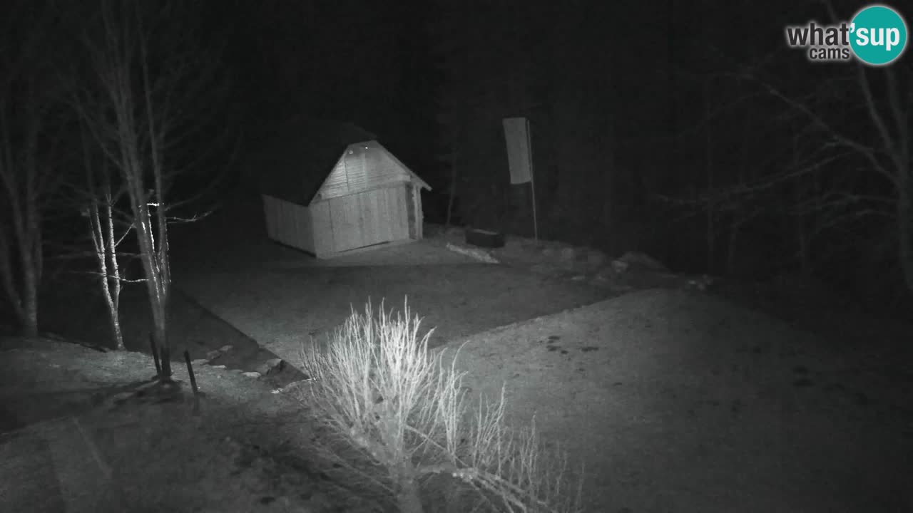 Spletna kamera Lukanja – Water Village | Pohorje Houses