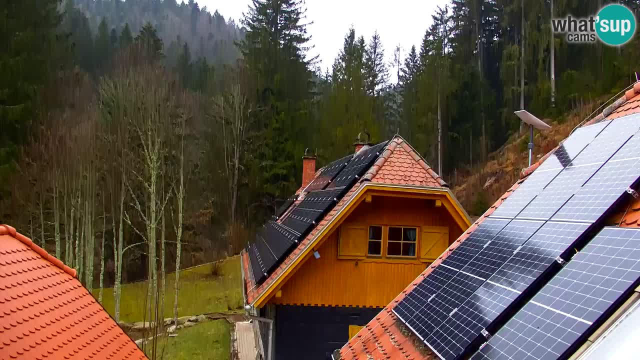 Webcam Lukanja – Water Village | Pohorje Houses