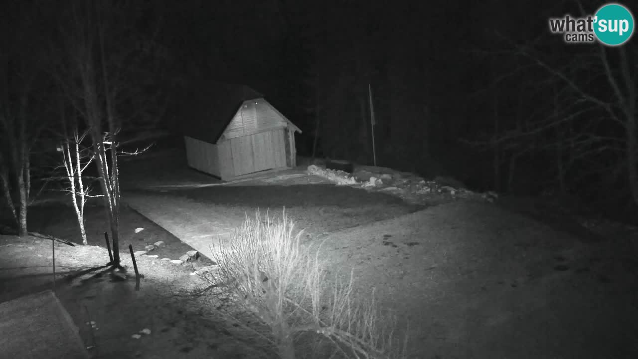 Webcam Lukanja – Pohorje houses a Water village