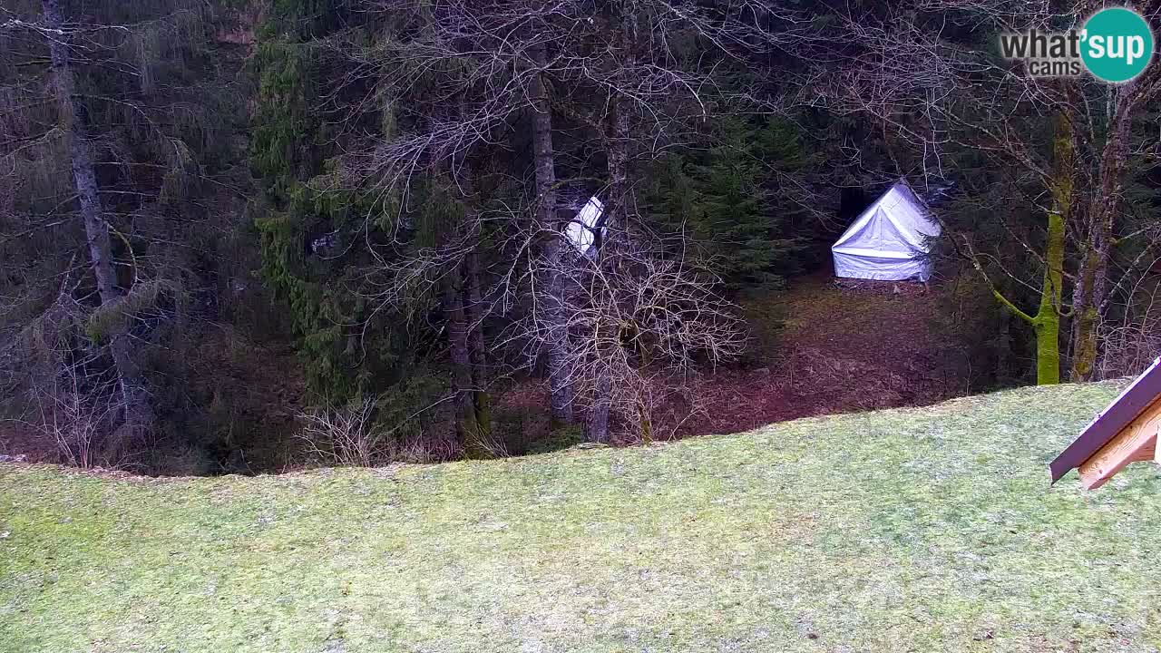 Webcam Lukanja – Pohorje houses a Water village