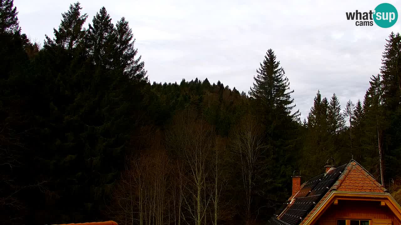 Webcam Lukanja – Water Village | Pohorje Houses