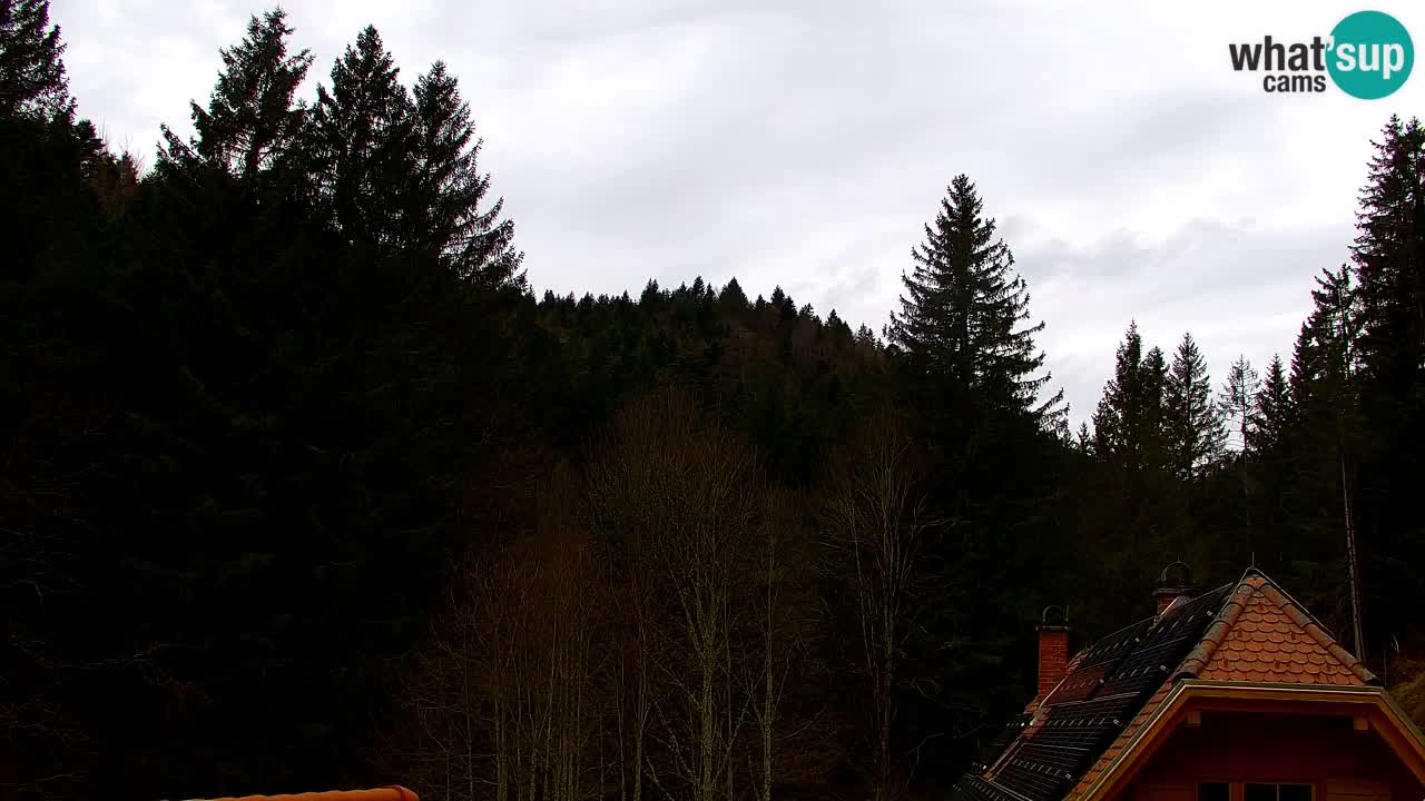 Webcam Lukanja – Pohorje houses a Water village