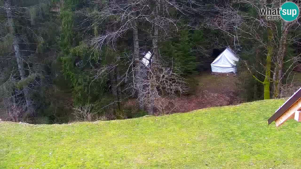 Spletna kamera Lukanja – Water Village | Pohorje Houses