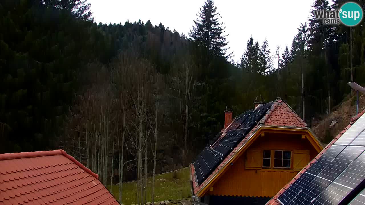 Webcam Lukanja – Water Village | Pohorje Houses