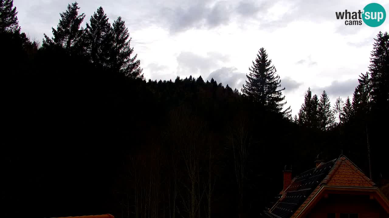 Webcam Lukanja – Water Village | Pohorje Houses