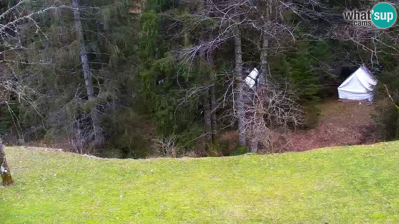 Webcam Lukanja – Water Village | Pohorje Houses