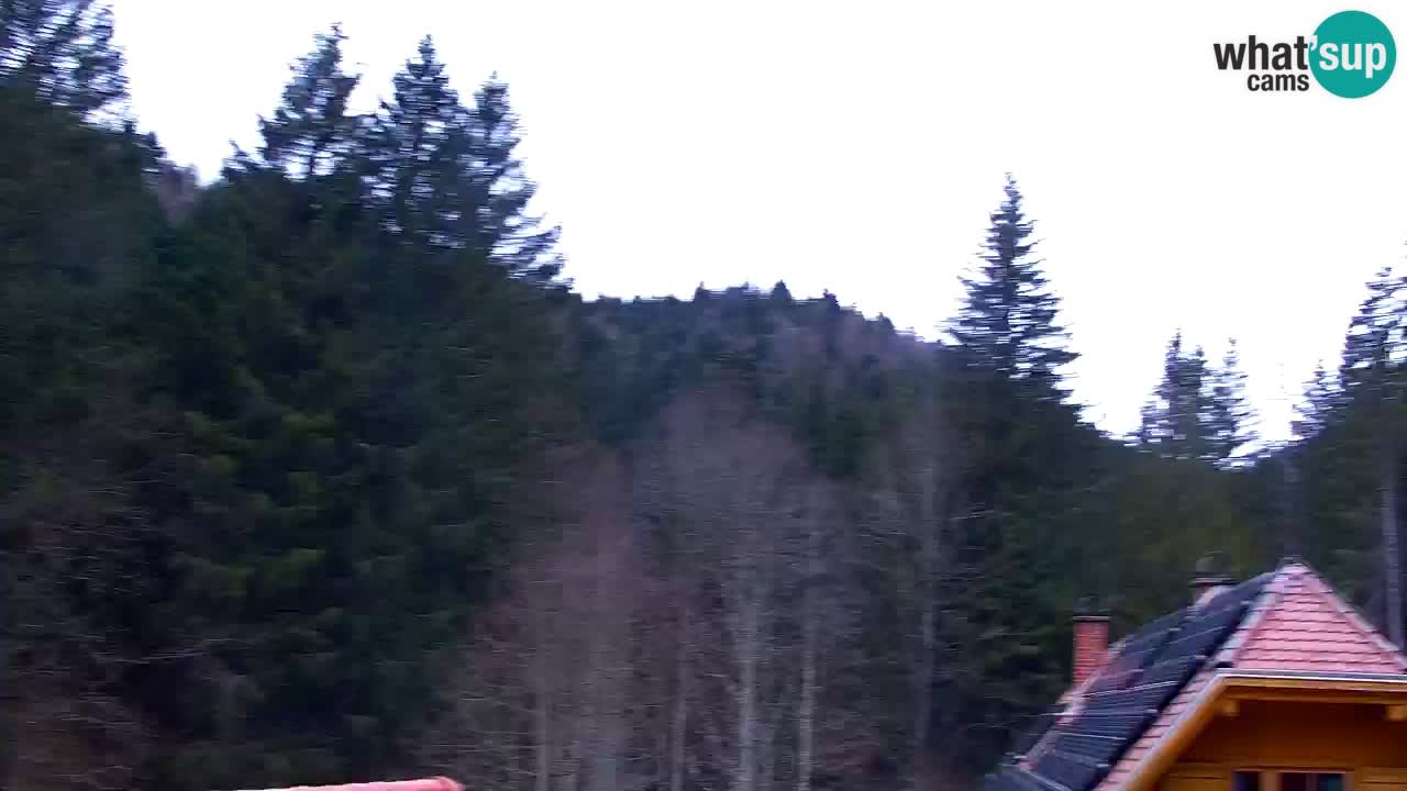 Webcam Lukanja – Water Village | Pohorje Houses