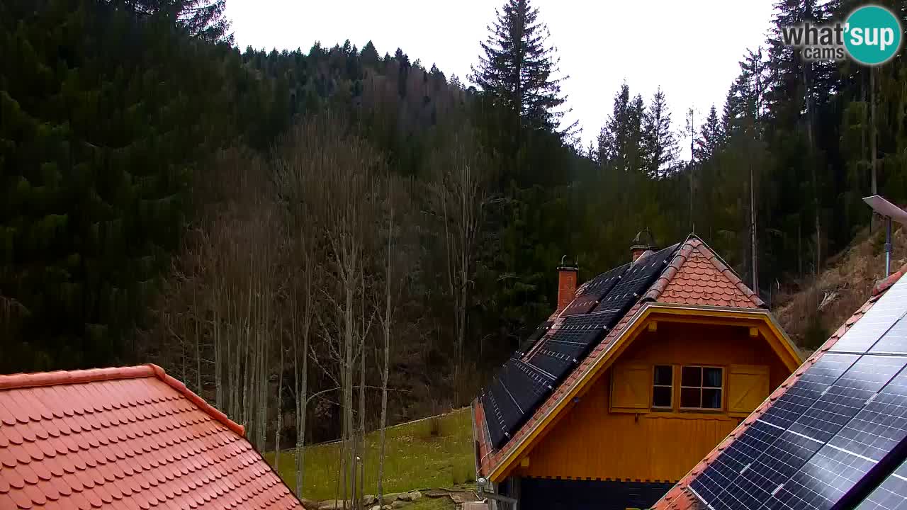 Webcam Lukanja – Water Village | Pohorje Houses