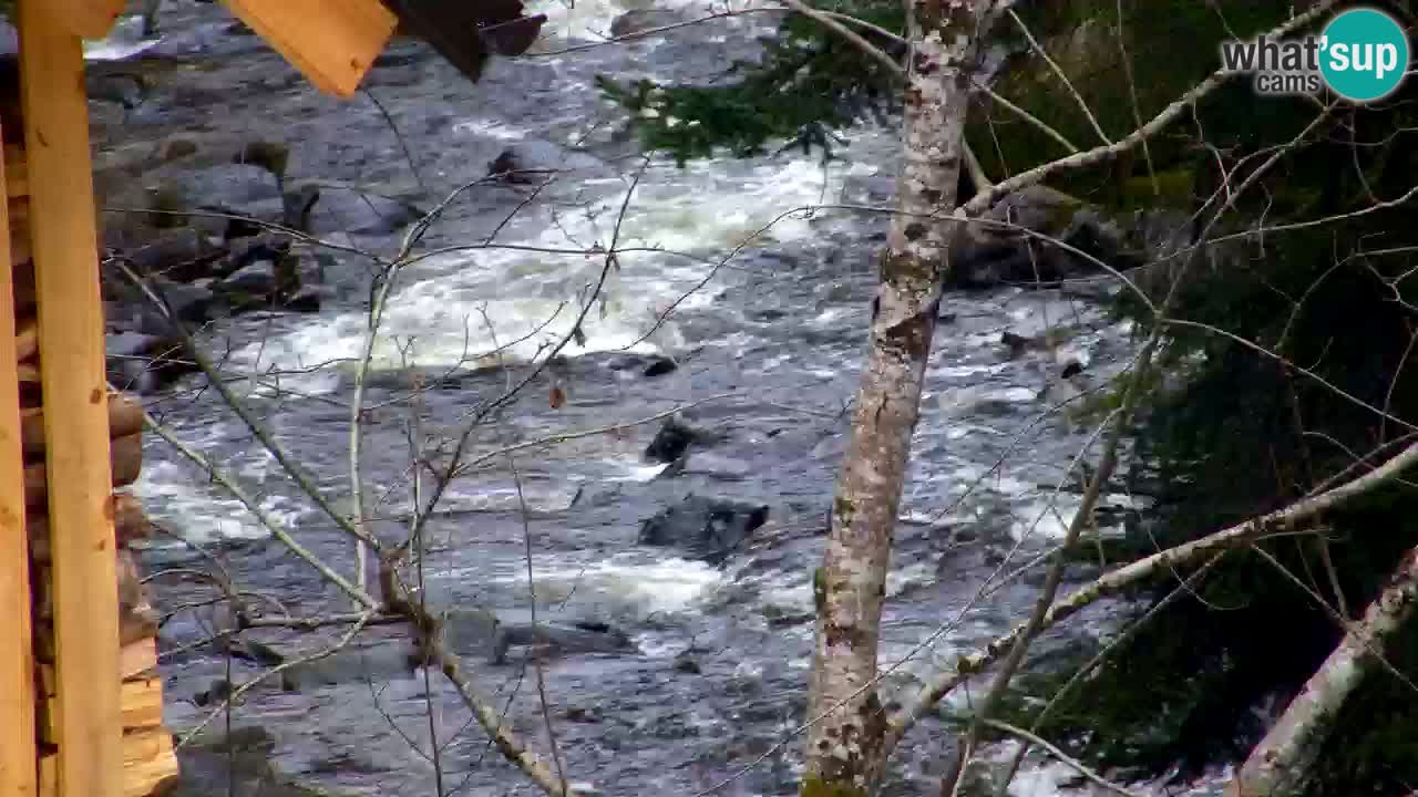 Webcam Lukanja – Pohorje houses a Water village