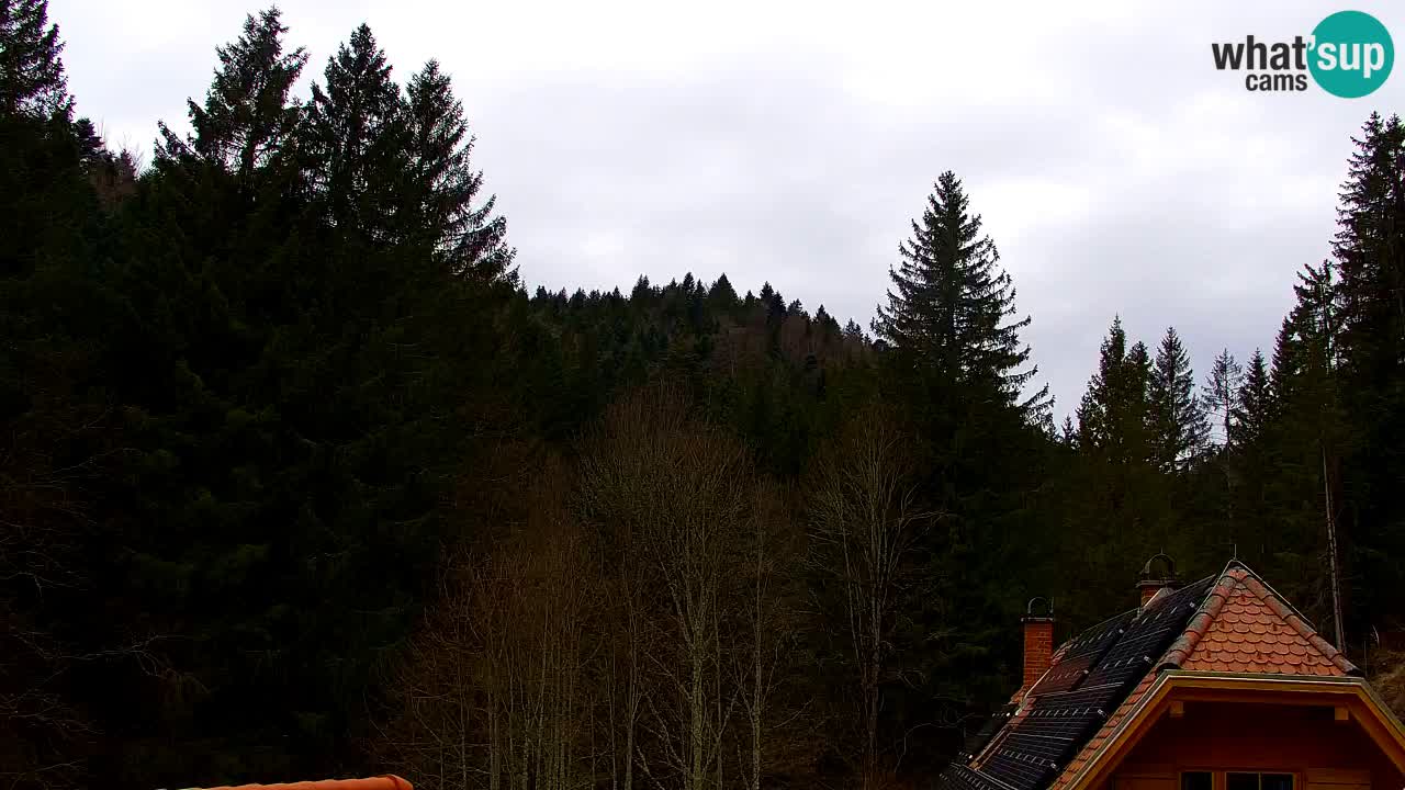 Spletna kamera Lukanja – Water Village | Pohorje Houses