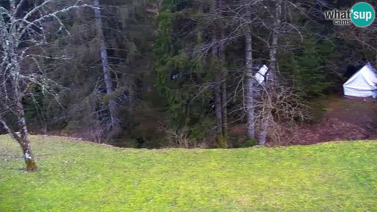 Webcam Lukanja – Water Village | Pohorje Houses