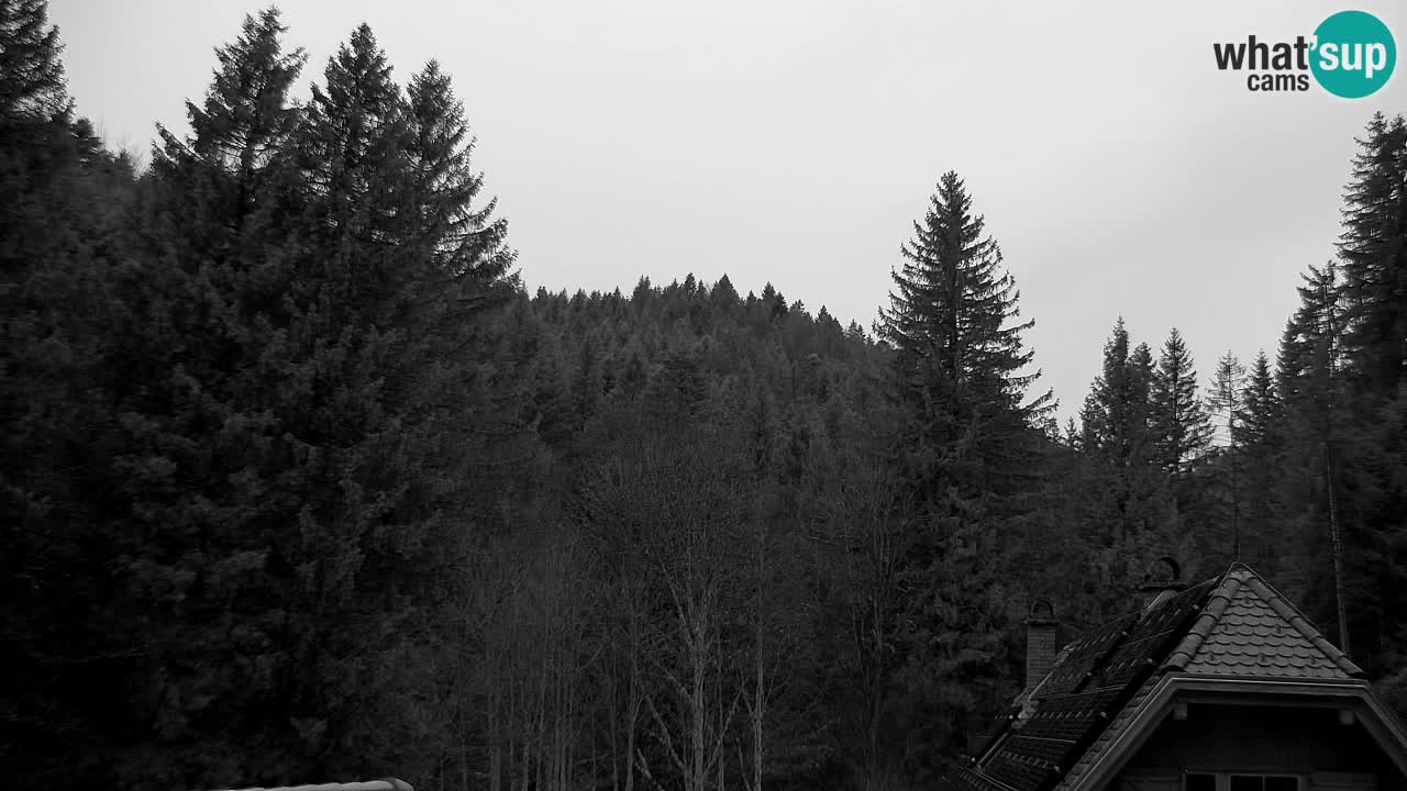 Web kamera Lukanja – Water Village | Pohorje Houses