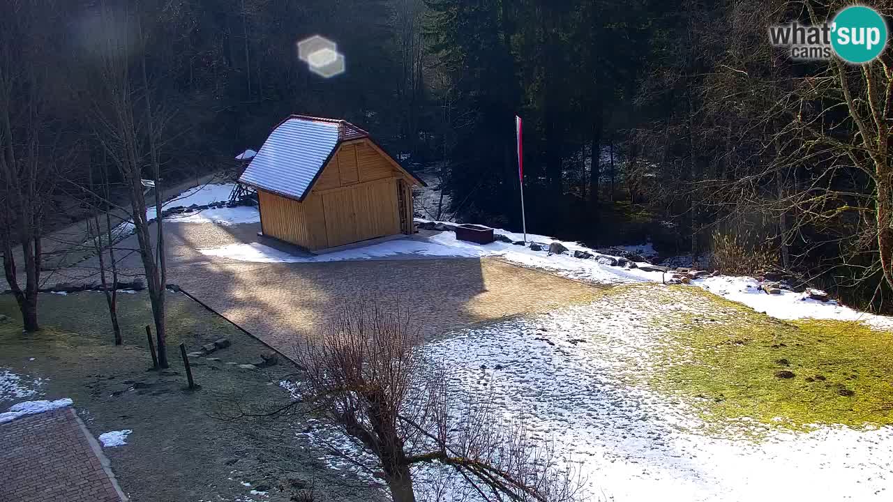 Webcam Lukanja – Pohorje houses a Water village