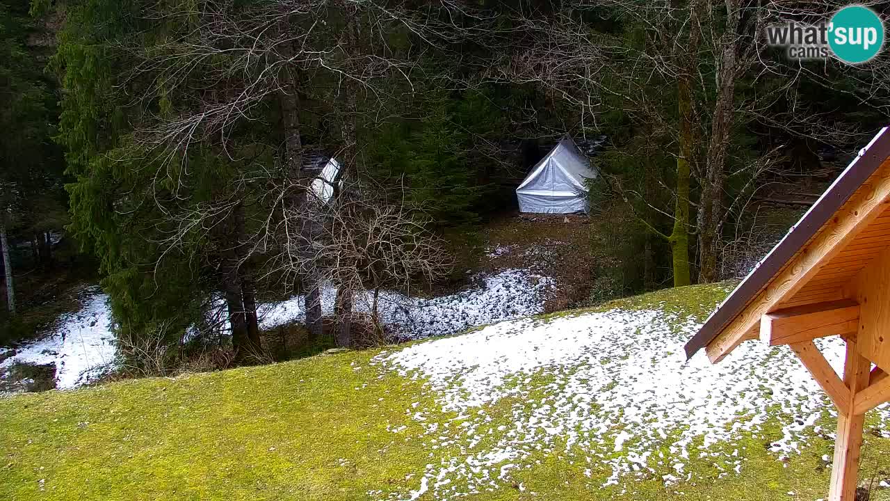 Webcam Lukanja – Water Village | Pohorje Houses