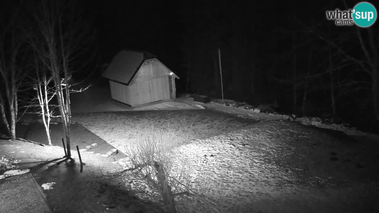 Web kamera Lukanja – Water Village | Pohorje Houses