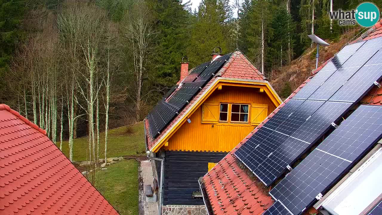 Webcam Lukanja – Water Village | Pohorje Houses