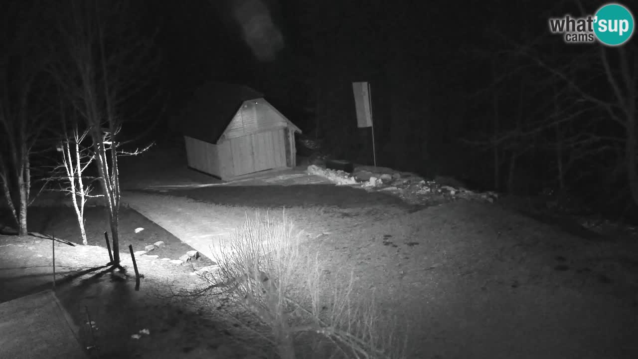 Webcam Lukanja – Pohorje houses a Water village