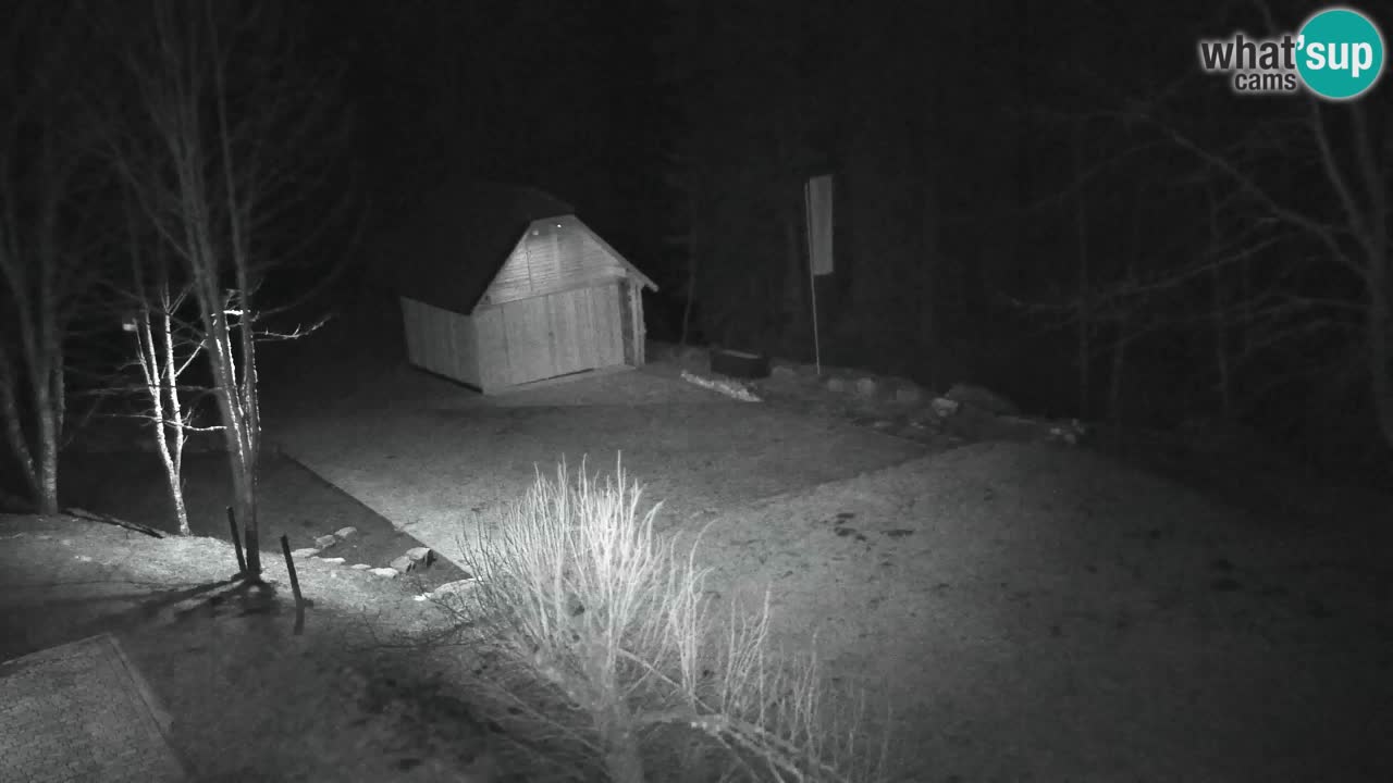 Webcam Lukanja – Water Village | Pohorje Houses