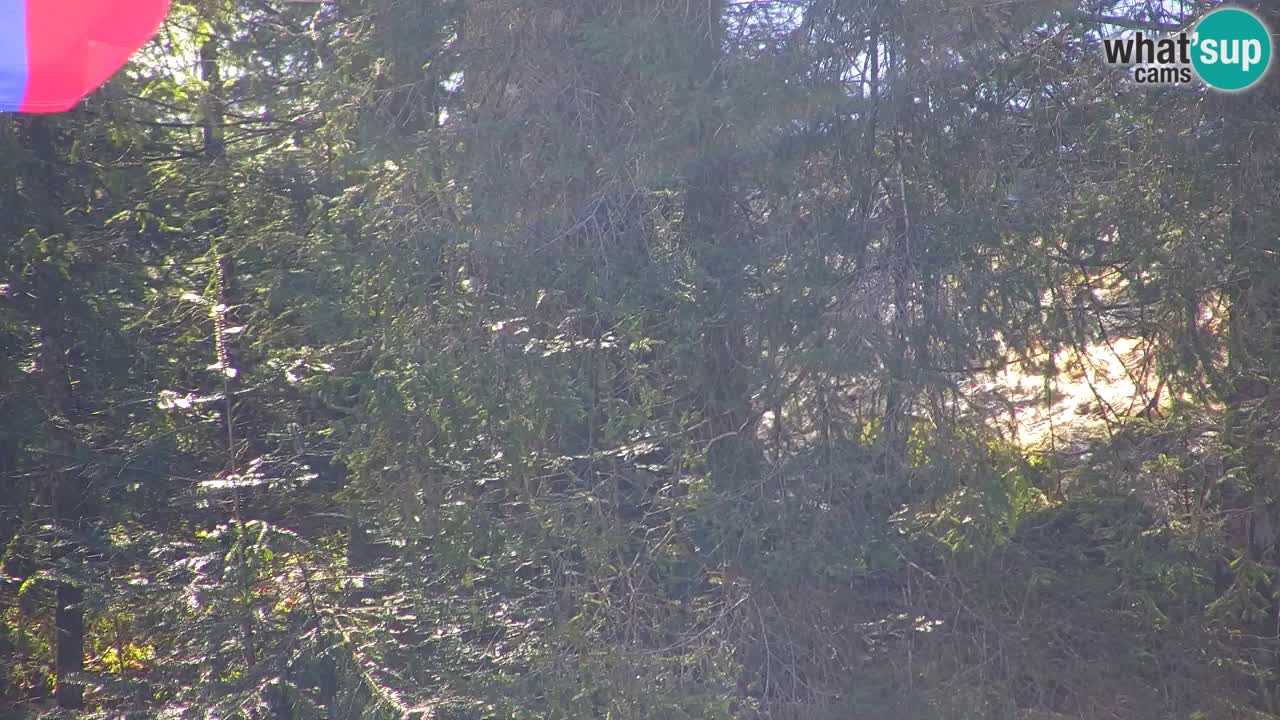 Webcam Lukanja – Pohorje houses a Water village